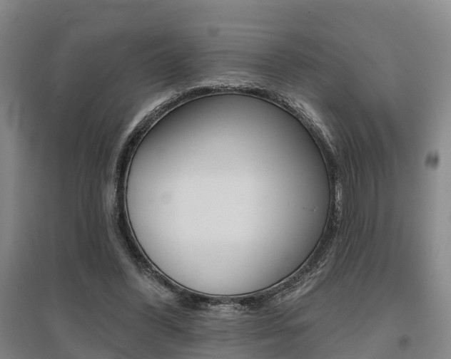 X0000095930396200801110924