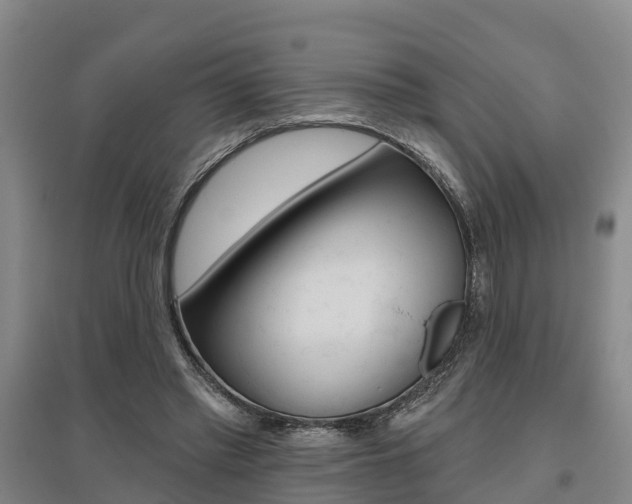 X0000095930397200801110924