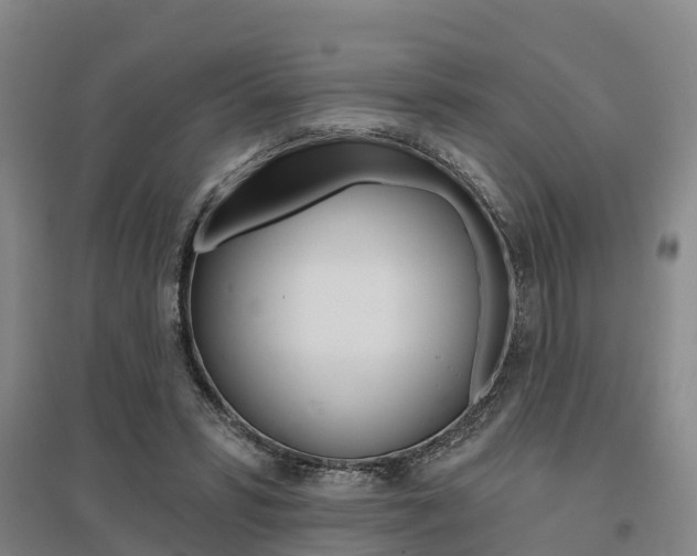 X0000095930399200801110924