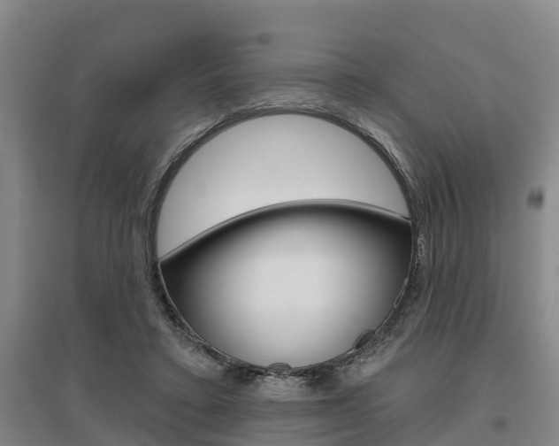 X0000095930403200801110924