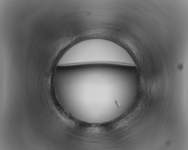 X0000095930404200801110924