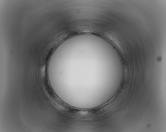 X0000095930406200801110924