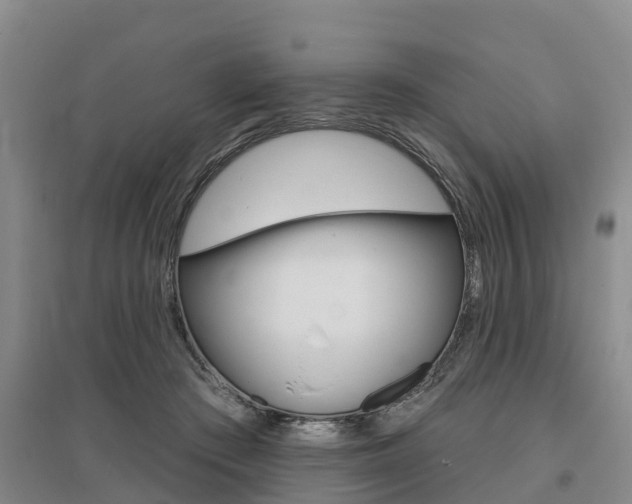 X0000095930409200801110924