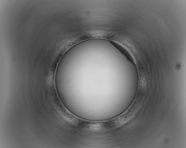 X0000095930411200801110924