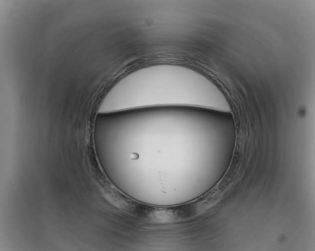 X0000095930413200801110923