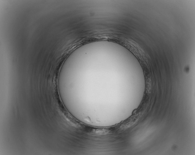 X0000095930414200801110923