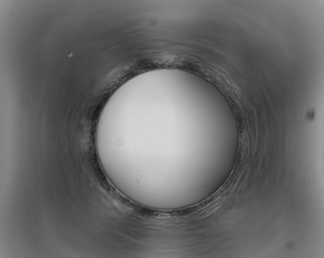 X0000095930416200801110923