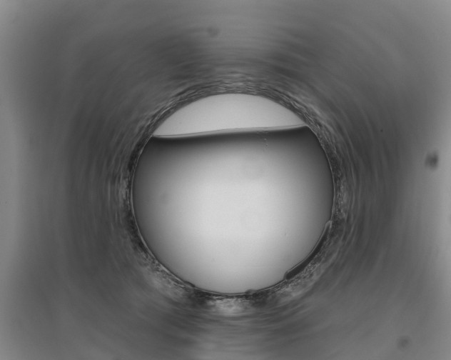 X0000095930417200801110923