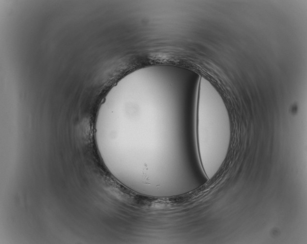 X0000095930420200801110923