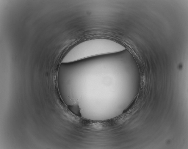 X0000095930423200801110923