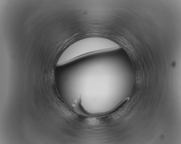 X0000095930425200801110923