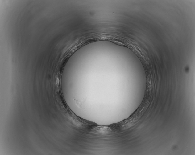 X0000095930427200801110923
