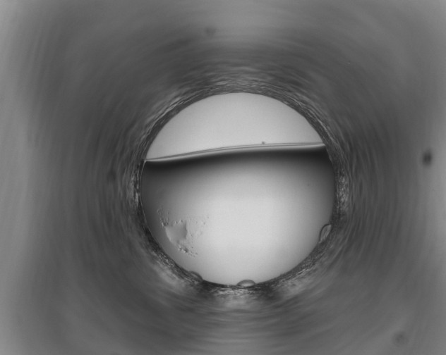 X0000095930428200801110923