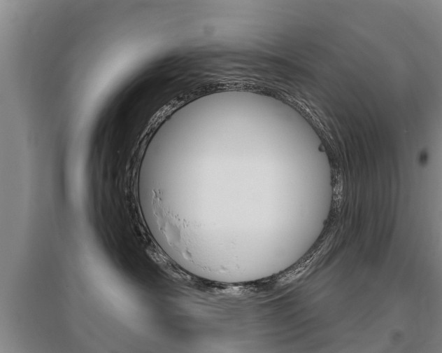 X0000095930430200801110923