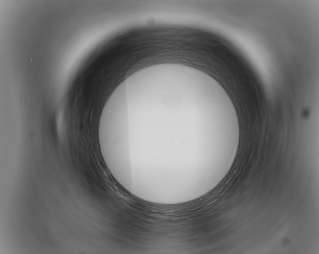X0000095930431200801110923