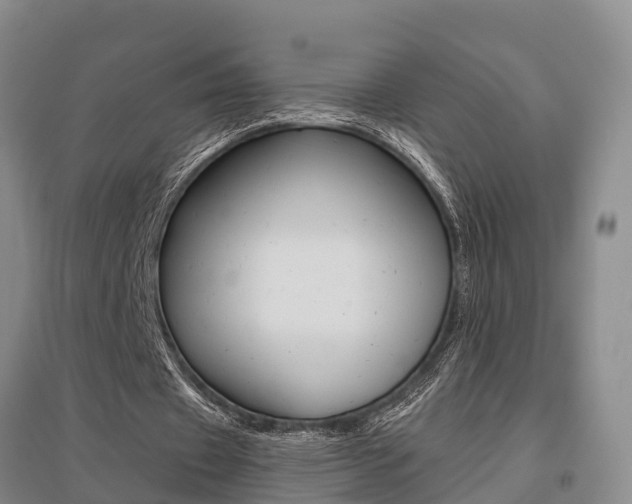 X0000095930433200801110922