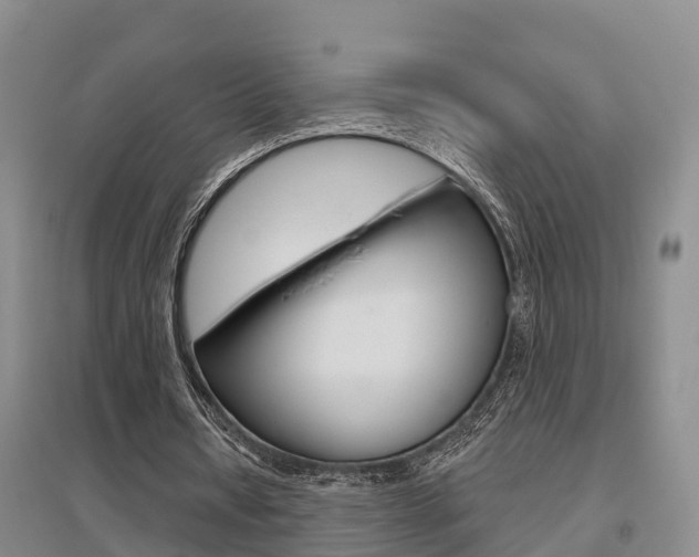 X0000095930434200801110922