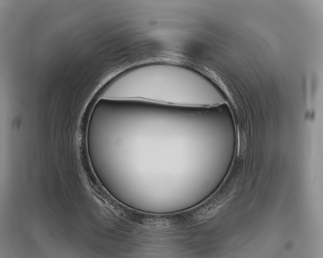 X0000095930435200801110922