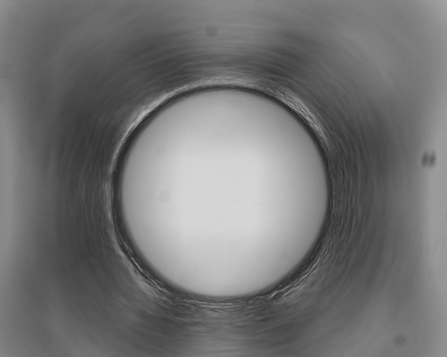 X0000095930436200801110922