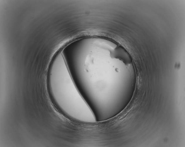 X0000095930438200801110922