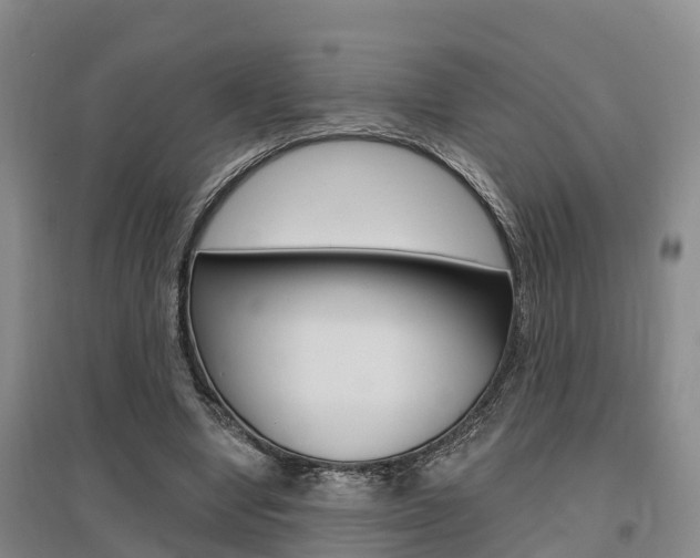 X0000095930442200801110923