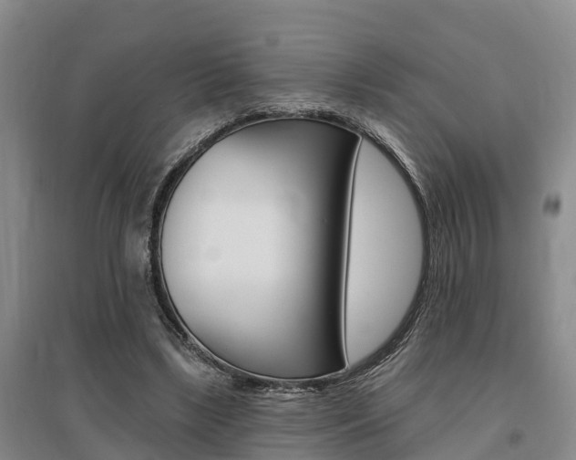 X0000095930443200801110923