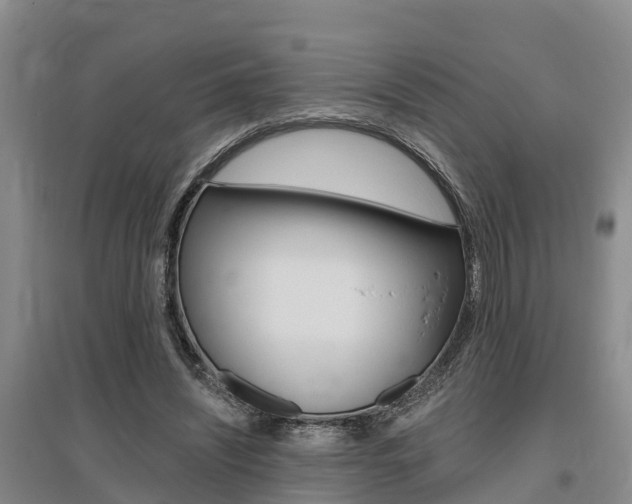 X0000095930444200801110923