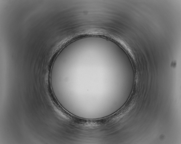X0000095930445200801110923
