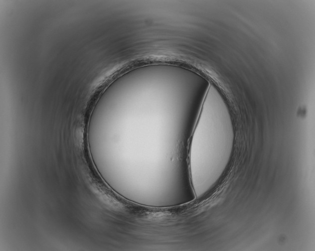 X0000095930446200801110923