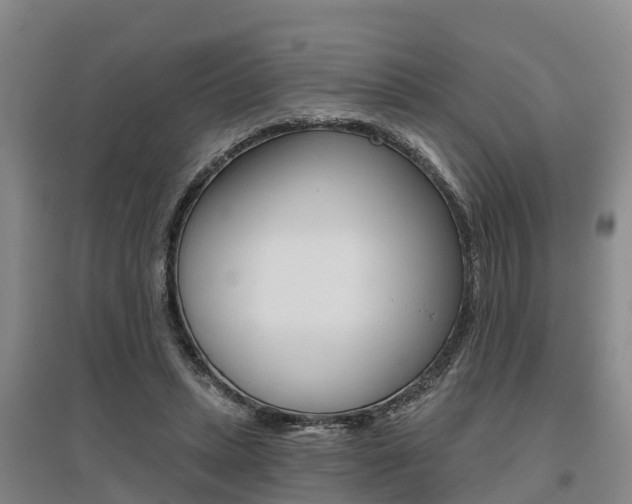 X0000095930447200801110923