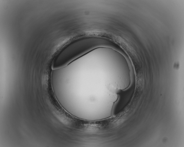 X0000095930448200801110923