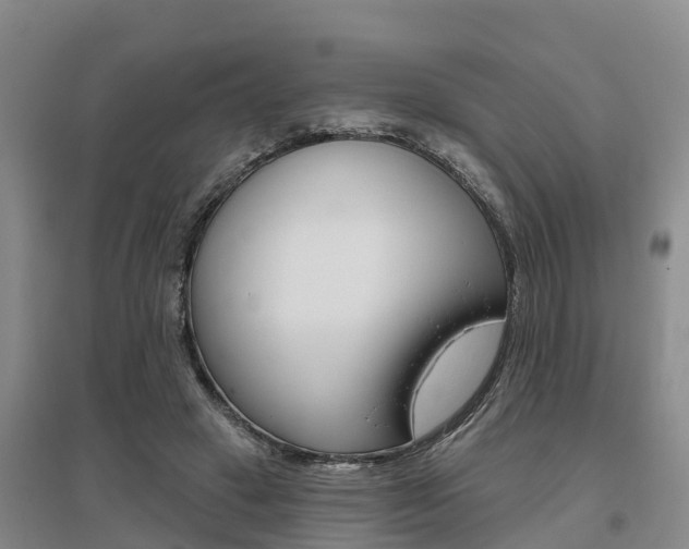 X0000095930449200801110923