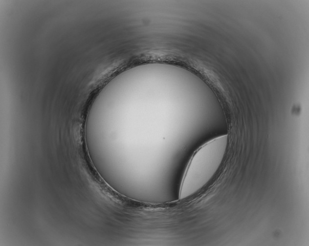 X0000095930450200801110923