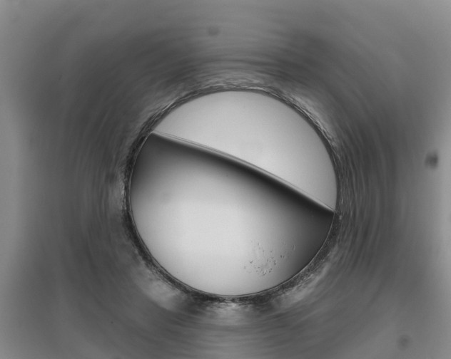 X0000095930453200801110923