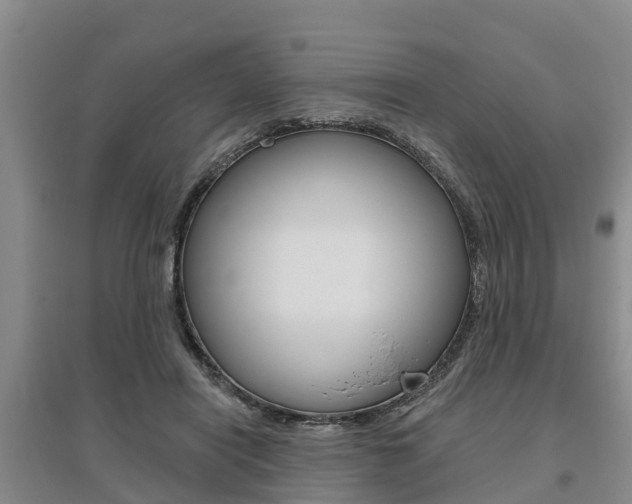 X0000095930454200801110923