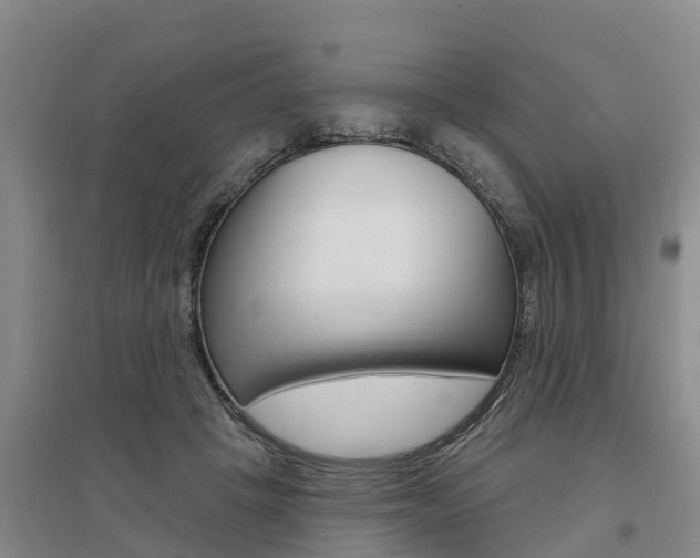 X0000095930457200801110923