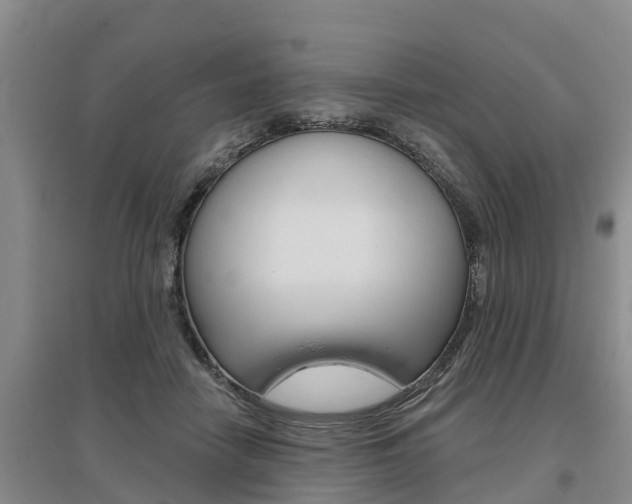 X0000095930458200801110923
