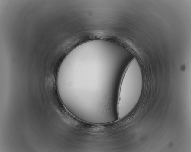 X0000095930459200801110923