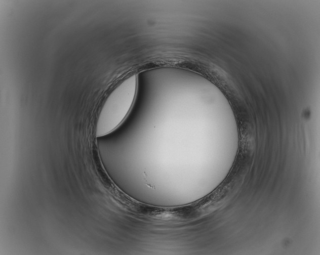 X0000095930460200801110923