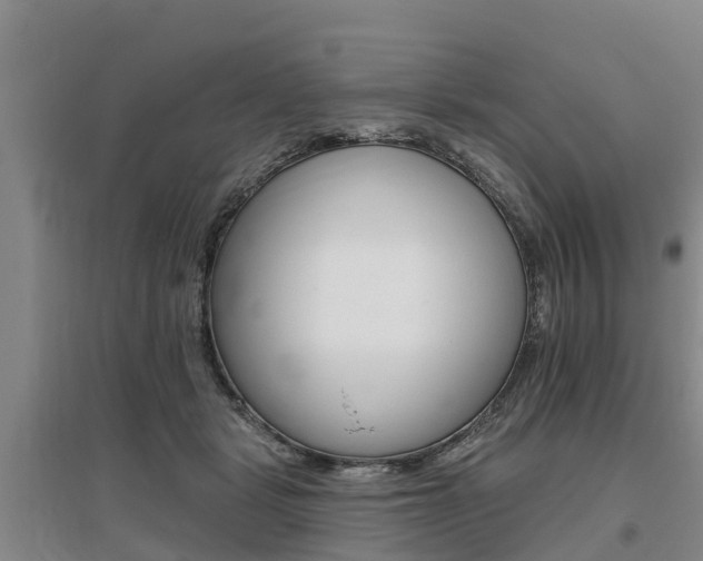 X0000095930461200801110923