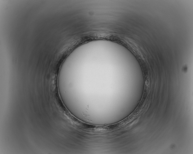 X0000095930462200801110923