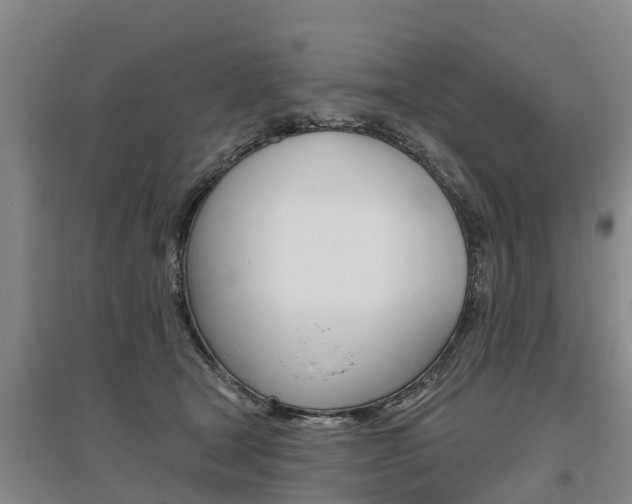 X0000095930465200801110923