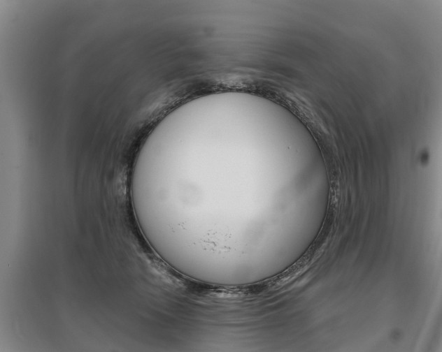 X0000095930466200801110923