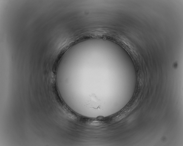 X0000095930467200801110923