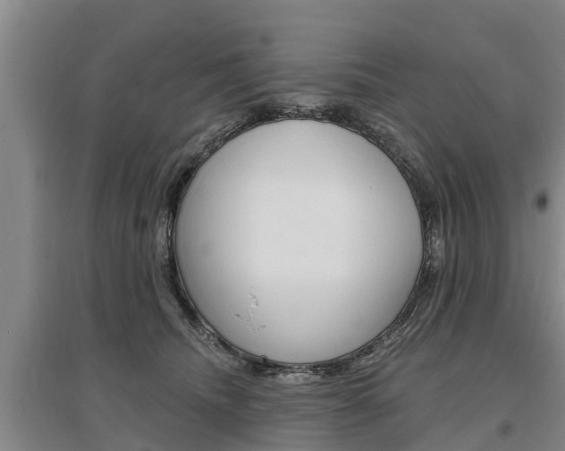 X0000095930468200801110923