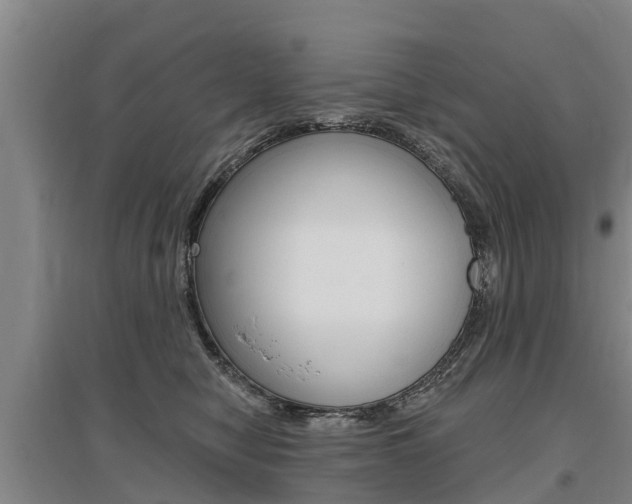 X0000095930470200801110923