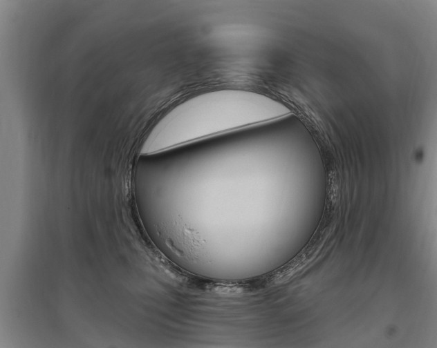 X0000095930471200801110923