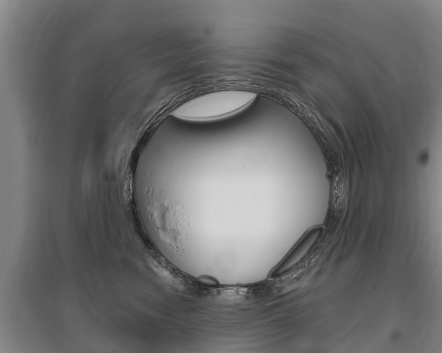 X0000095930474200801110923