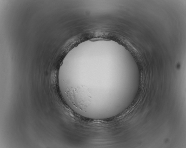 X0000095930475200801110923