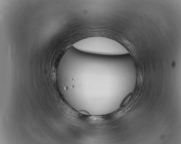 X0000095930477200801110923
